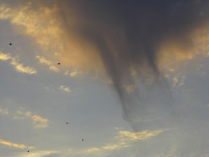 Virga